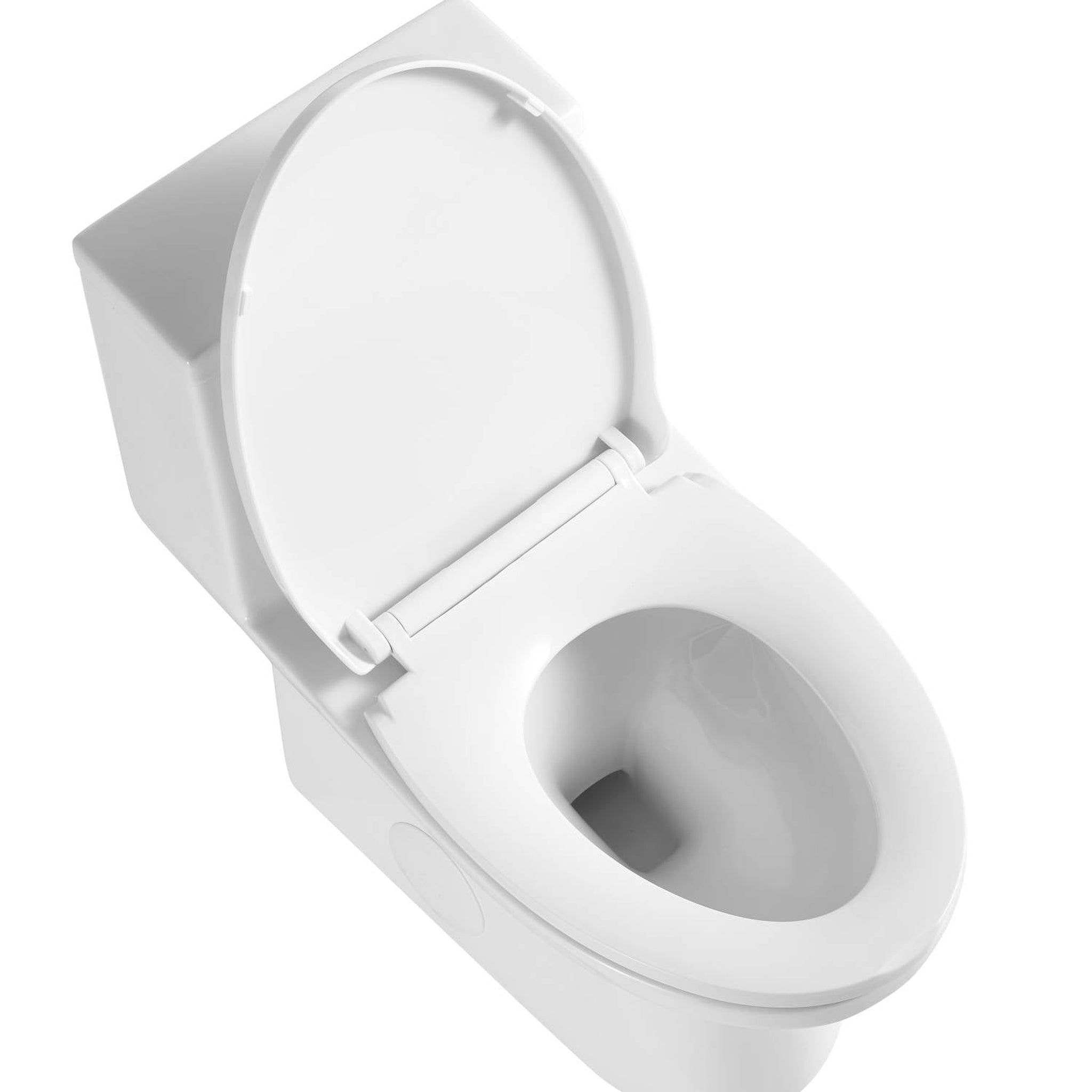 Blossom, Blossom T9 04 1.1 / 1.6 GPF Dual Flush White ADA One Piece Toilet With Slow-closing Seat Cover