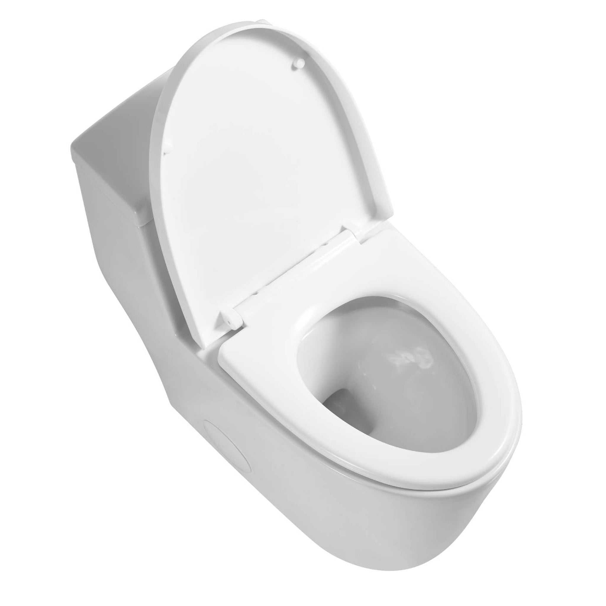 Blossom, Blossom T9 05 1.1 / 1.6 GPF Dual Flush White One Piece Toilet With Slow-closing Seat Cover